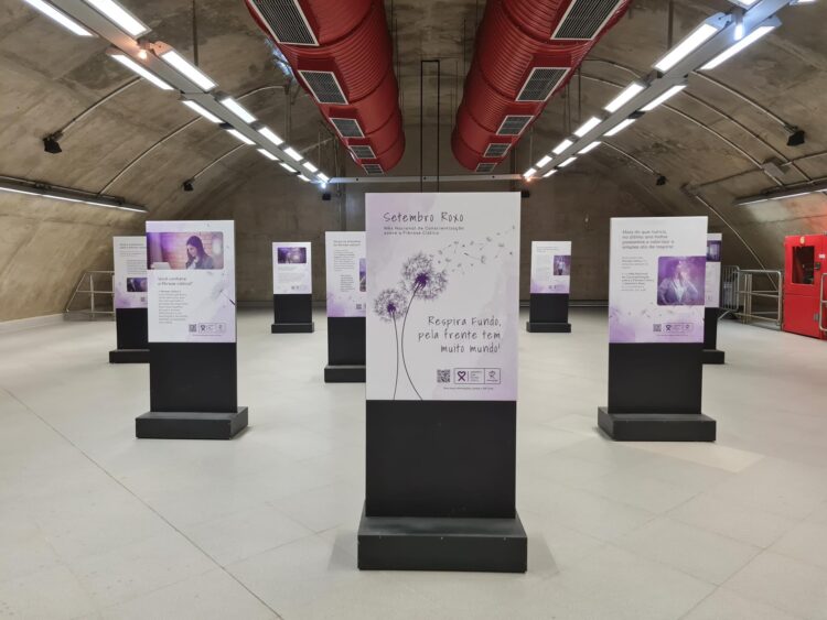 Galeria
