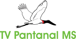 TV Pantanal MS